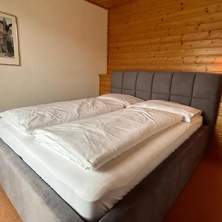 Hotel Edelweiss Mitterberg