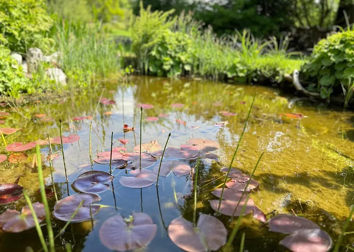 Edelweiss فندق 3*