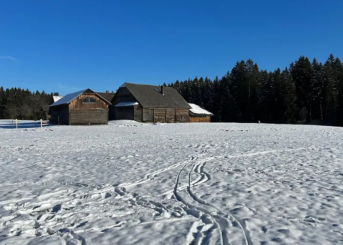 فندق Edelweiss 3*